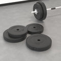 4-piece cement weight plate set for strength training